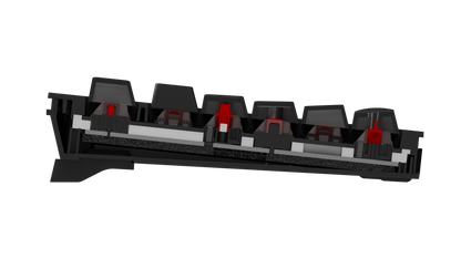 Wooting 80HE TenZ Takeover