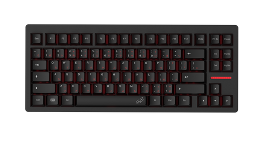 Wooting 80HE TenZ Takeover