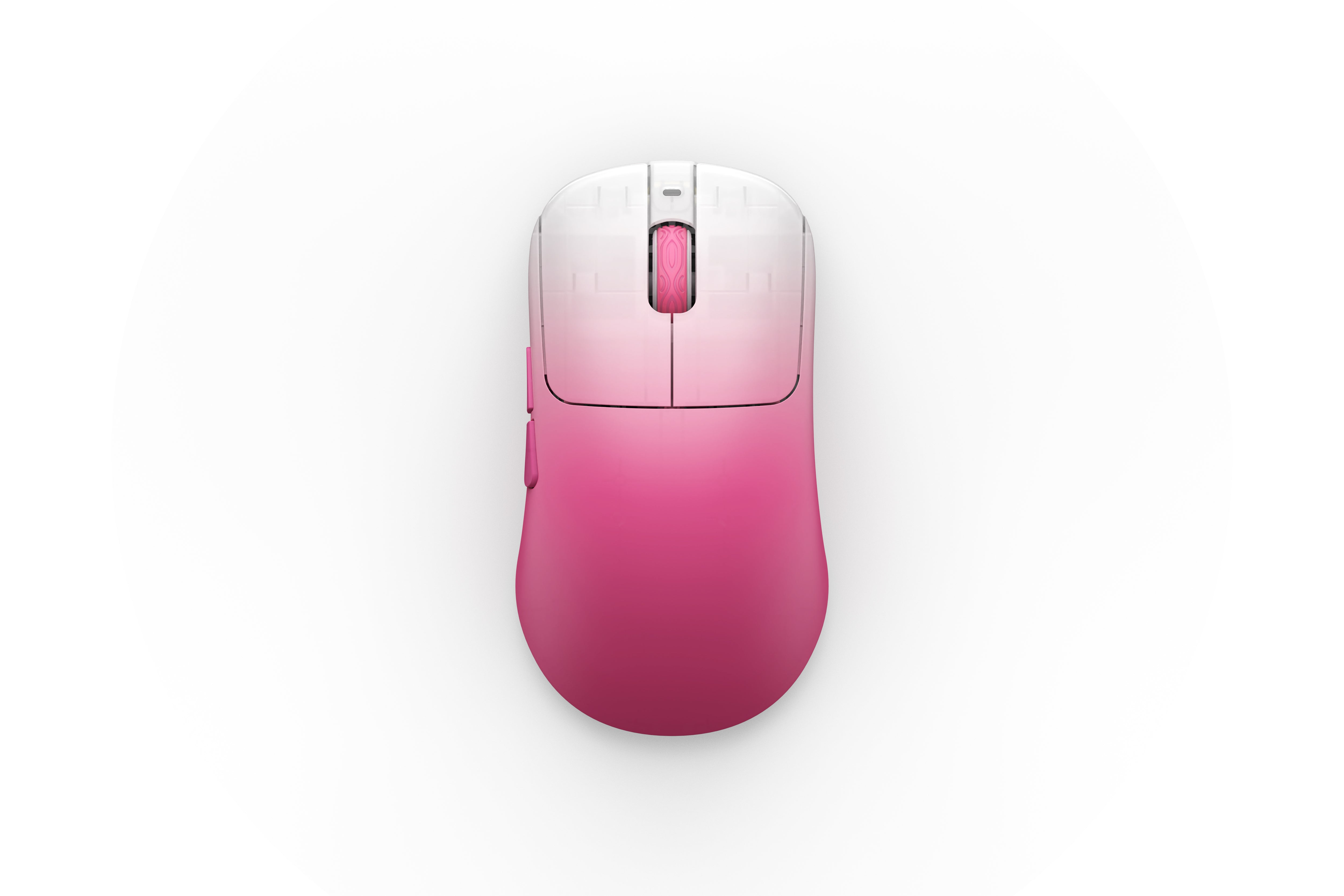 OGM CLOUD XS – Waimers